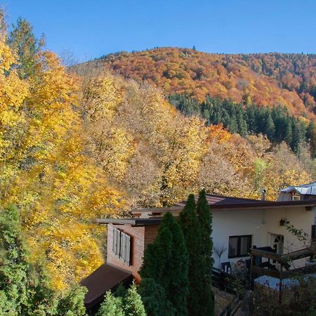 Casa Flandria Hotel Sinaia Exterior foto