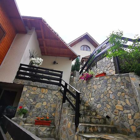 Casa Flandria Hotel Sinaia Exterior foto