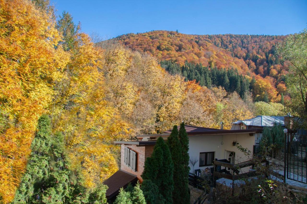 Casa Flandria Hotel Sinaia Exterior foto