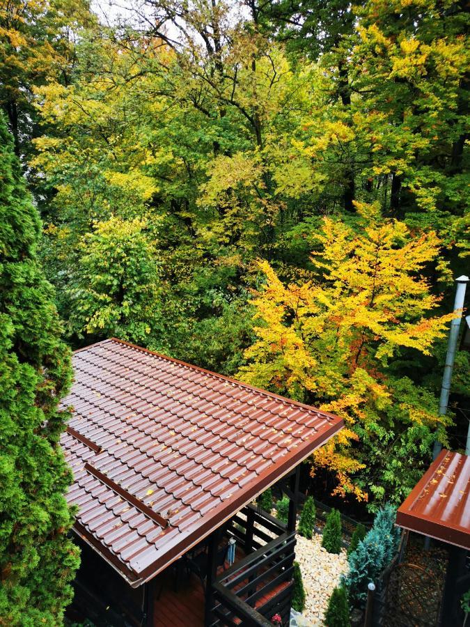 Casa Flandria Hotel Sinaia Exterior foto