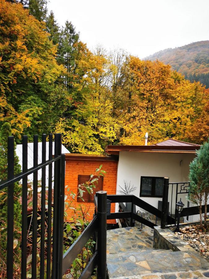 Casa Flandria Hotel Sinaia Exterior foto