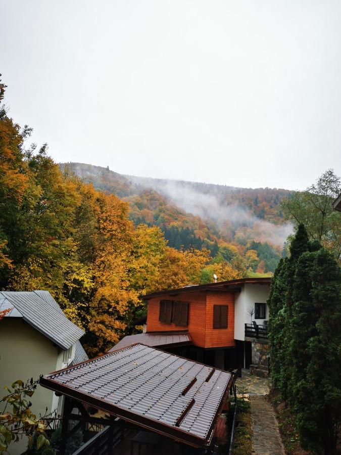 Casa Flandria Hotel Sinaia Exterior foto