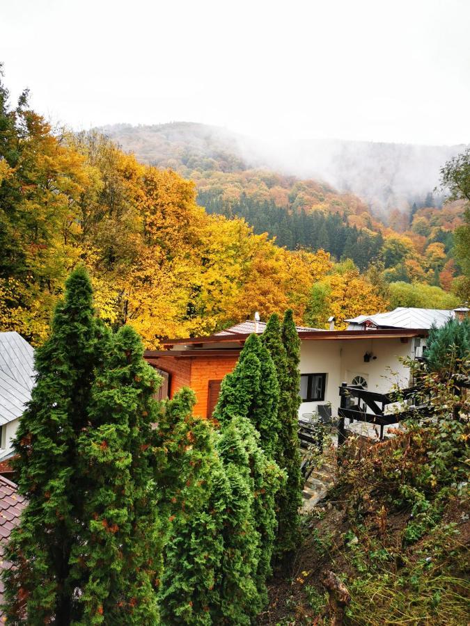 Casa Flandria Hotel Sinaia Exterior foto