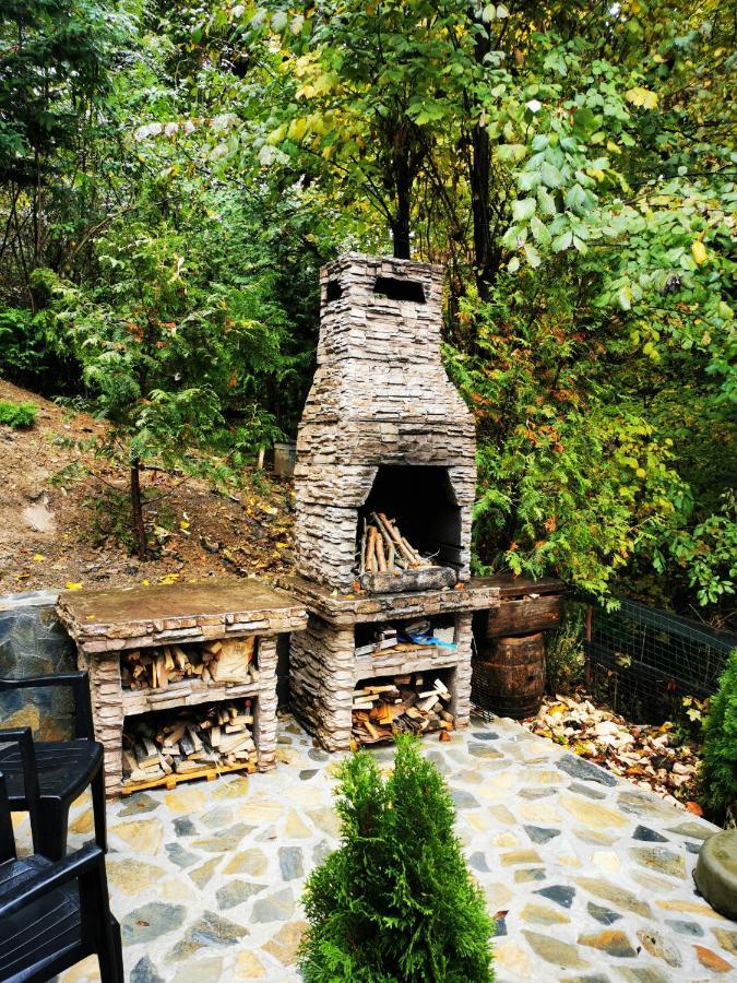Casa Flandria Hotel Sinaia Exterior foto