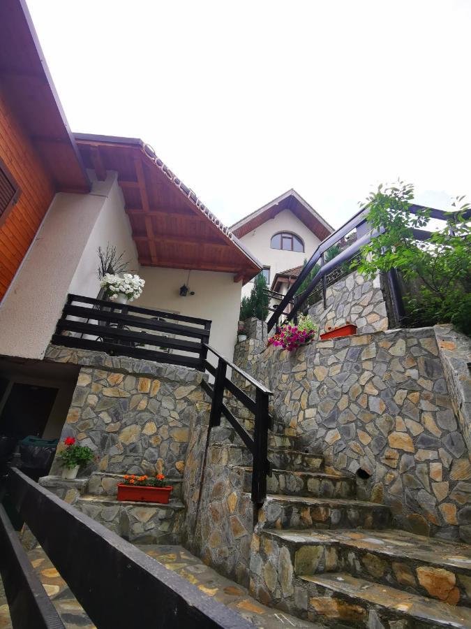 Casa Flandria Hotel Sinaia Exterior foto