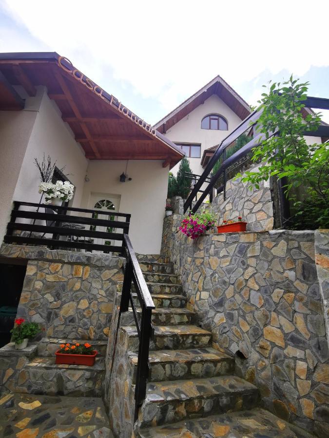 Casa Flandria Hotel Sinaia Exterior foto