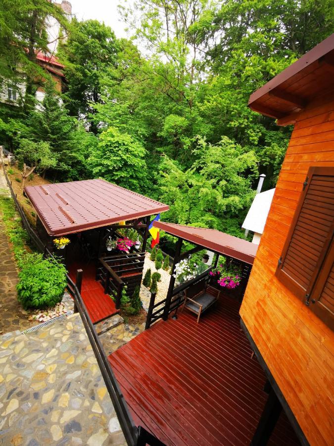 Casa Flandria Hotel Sinaia Exterior foto